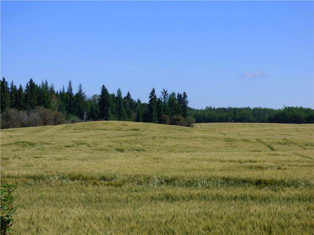 Lot 2 Blk 2 Plan 1525061 Range Rd 150 - Photo 1