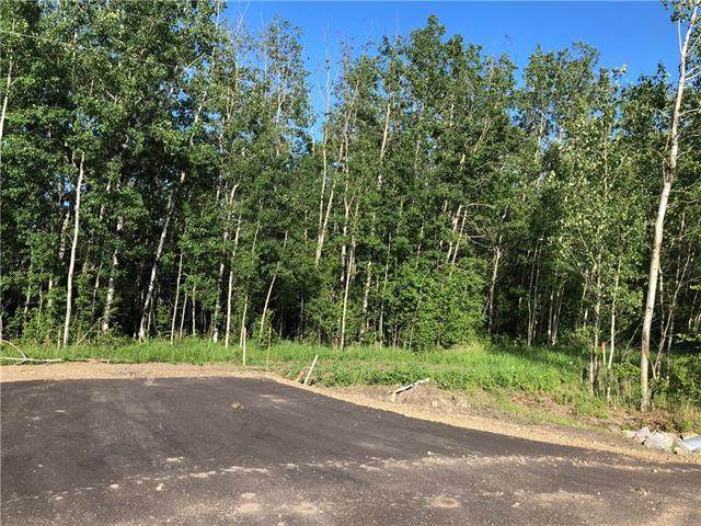 Lot 2 Campsite Road - Photo 1