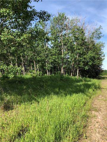 Lot 11 Campsite Road - Photo 1