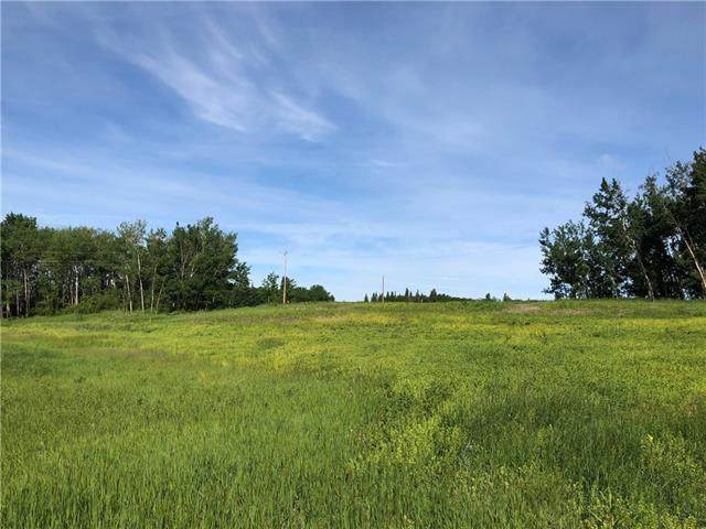Lot 12 Campsite Road - Photo 1