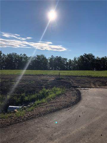 Lot 21 Campsite Road - Photo 1
