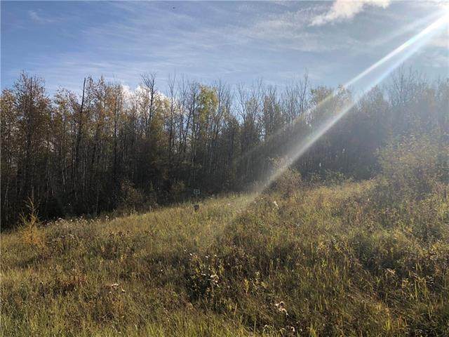 115 16326 Twp Rd 675 - Photo 1
