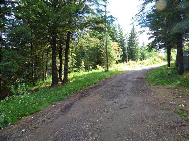 Lot 40 Wandering River Golf Course - Photo 1