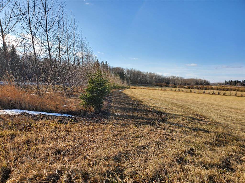 68126 Campsite Road - Photo 1