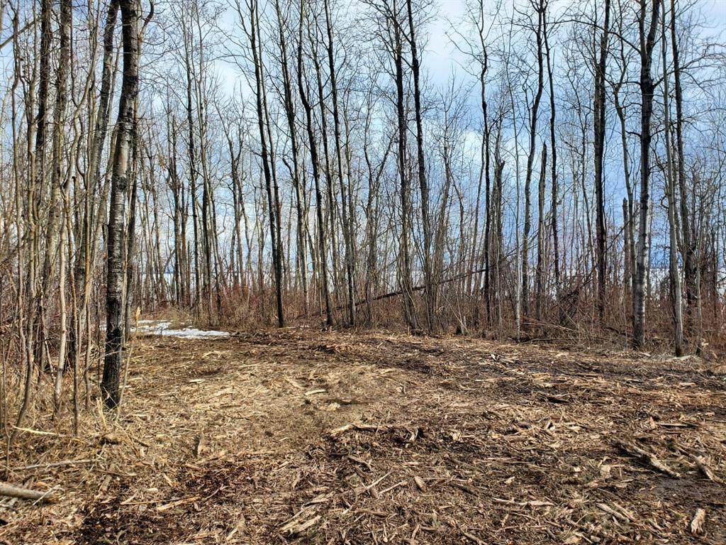 Lot 4 Campsite Road - Photo 1