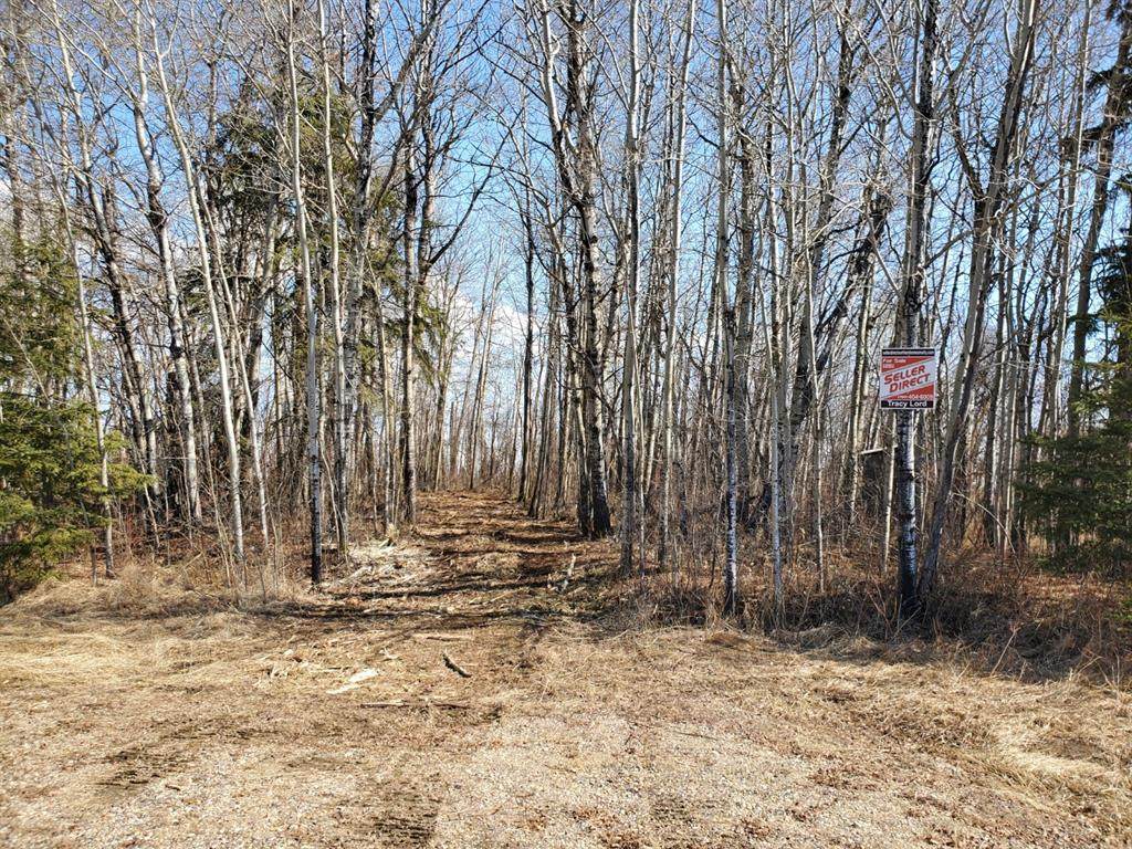Lot 2 Campsite Road - Photo 1
