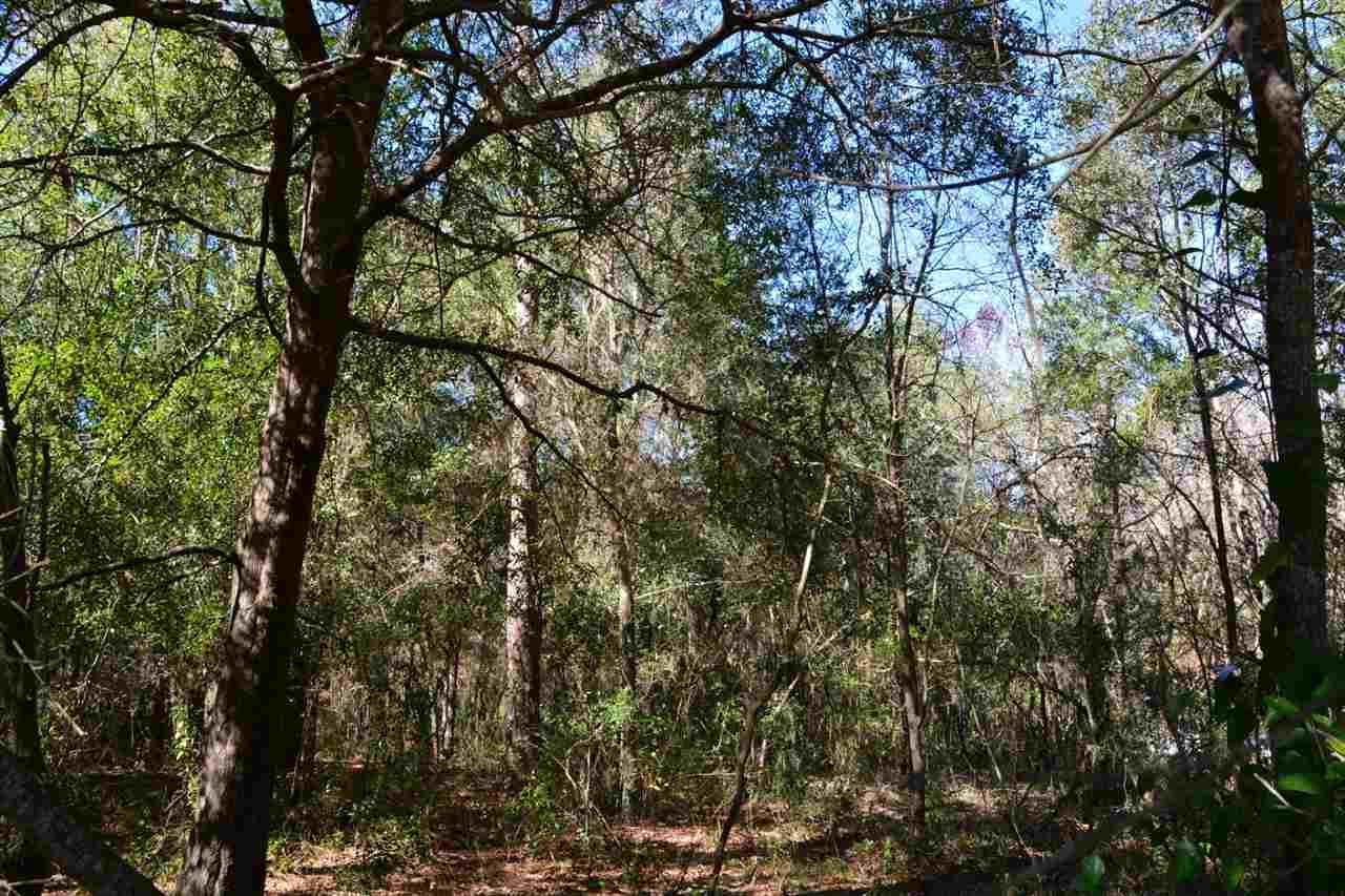 6459 Loch Lommond Drive - Photo 1