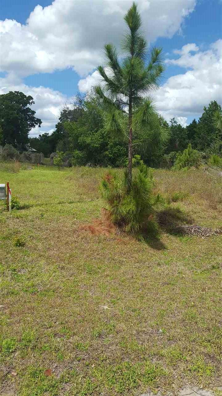 16432 174th Drive - Photo 1