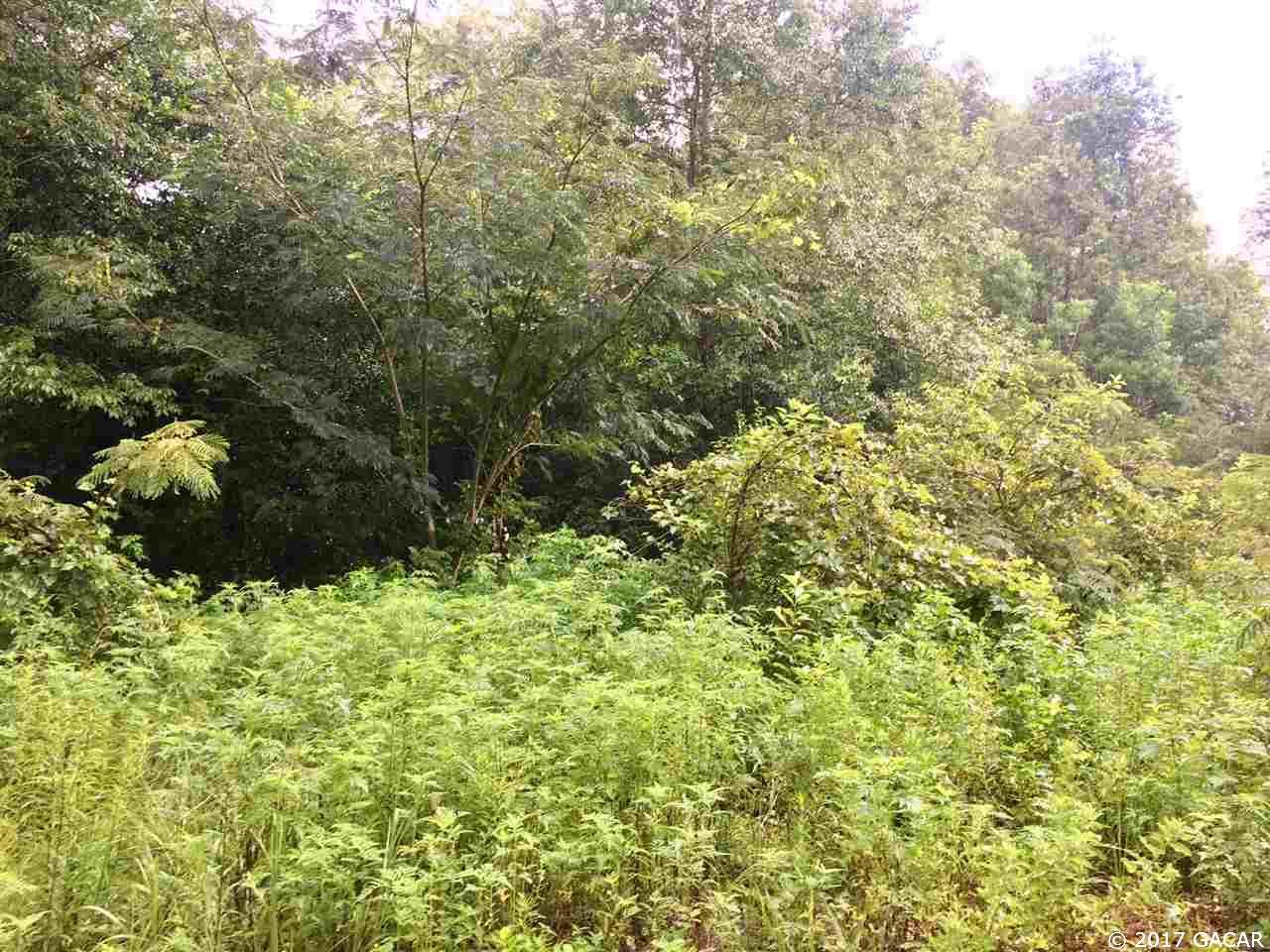 3822 157th Terrace - Photo 1