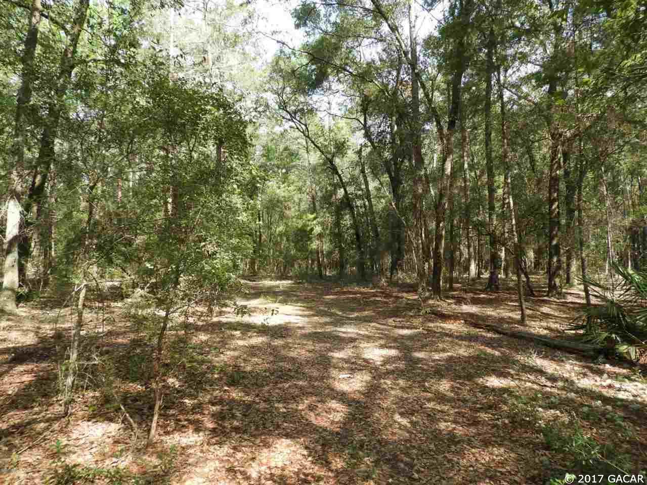 TBD Lily Lake Rd. - Photo 1