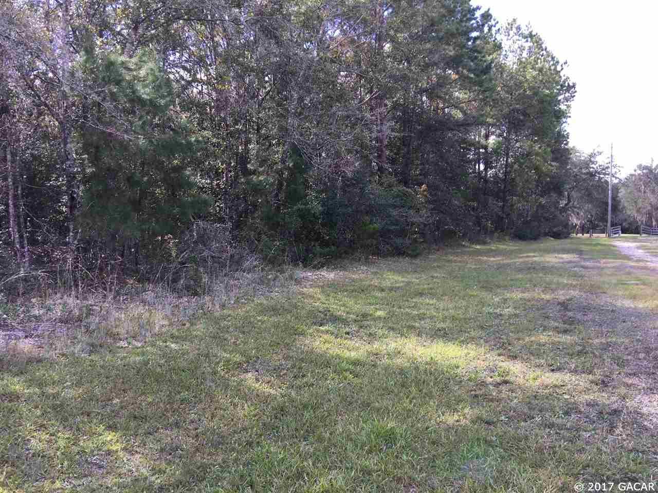 000 Pine Oak Hammock - Photo 1