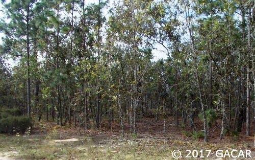 7248 Davidson - Photo 1