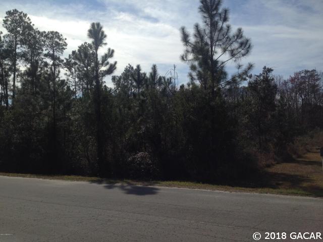 TBD 180th Way - Photo 1