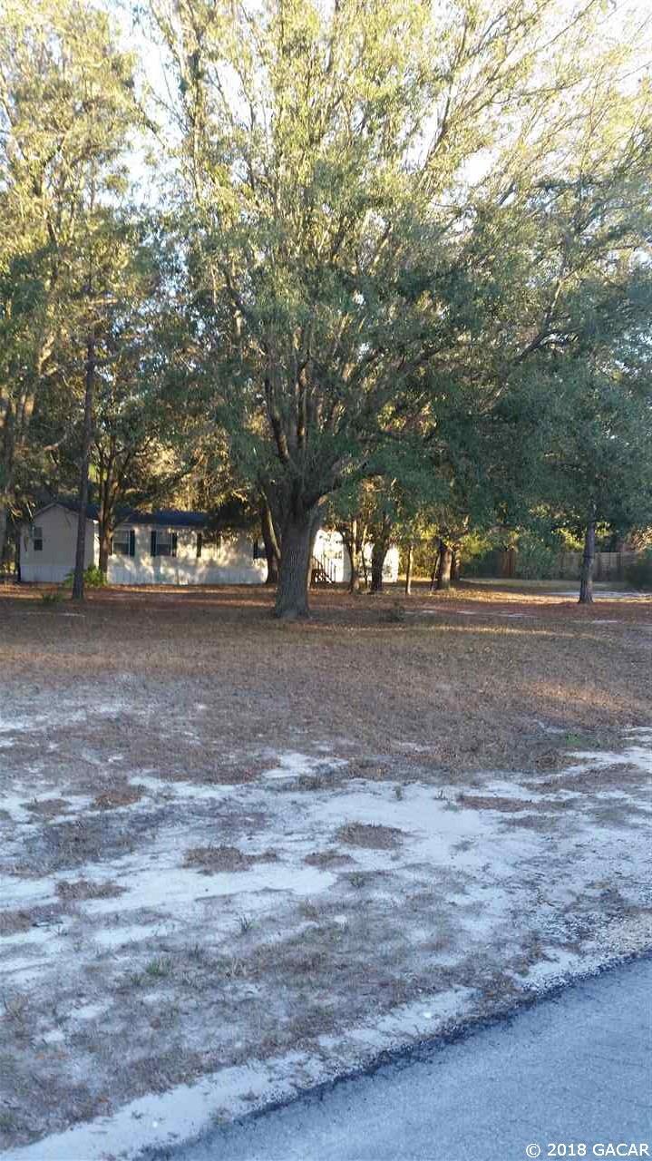 2809 142nd Lane - Photo 1