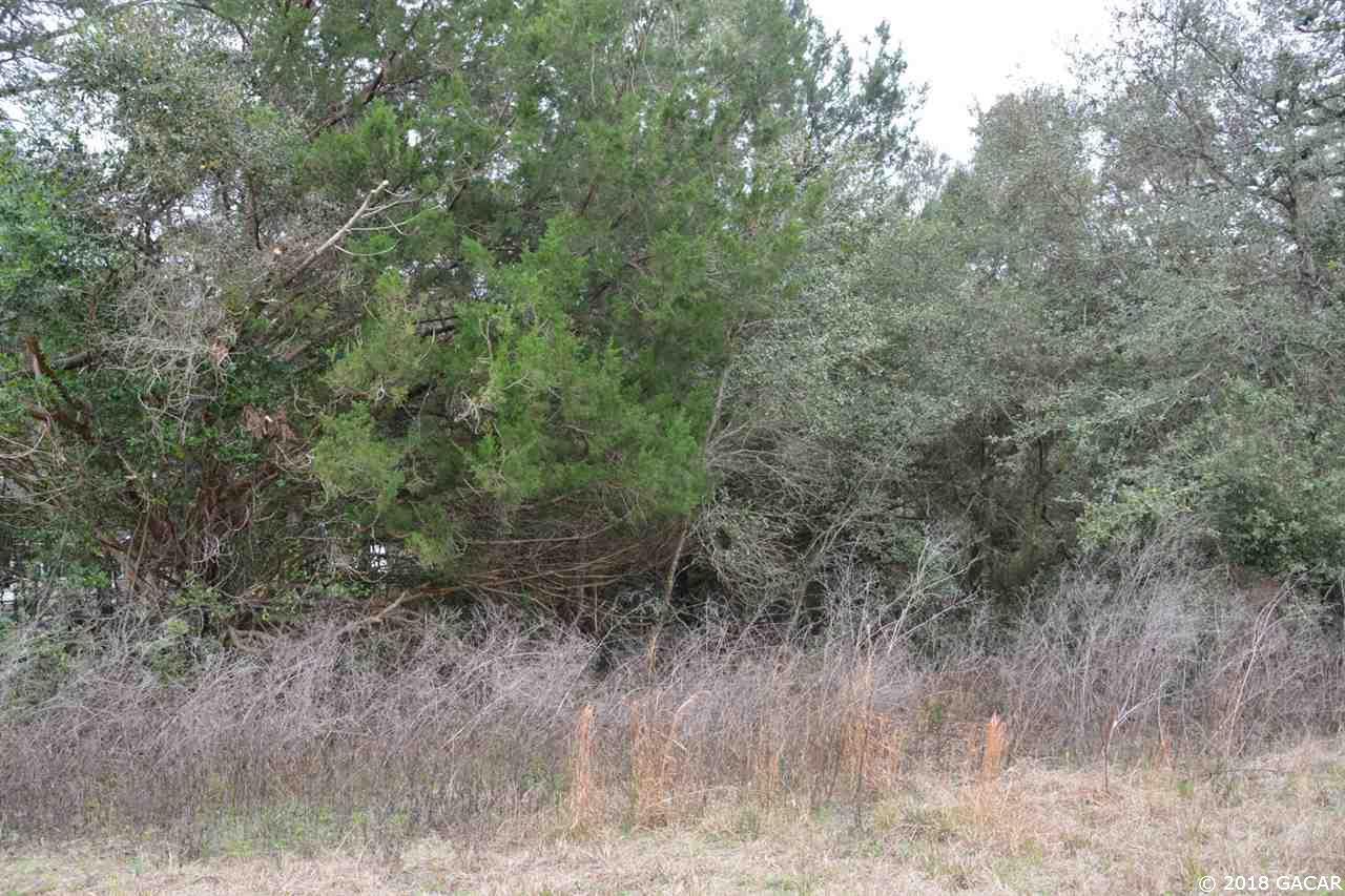 00 Immokalee Road - Photo 1