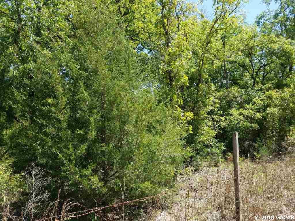 XX 70th Avenue - Photo 1