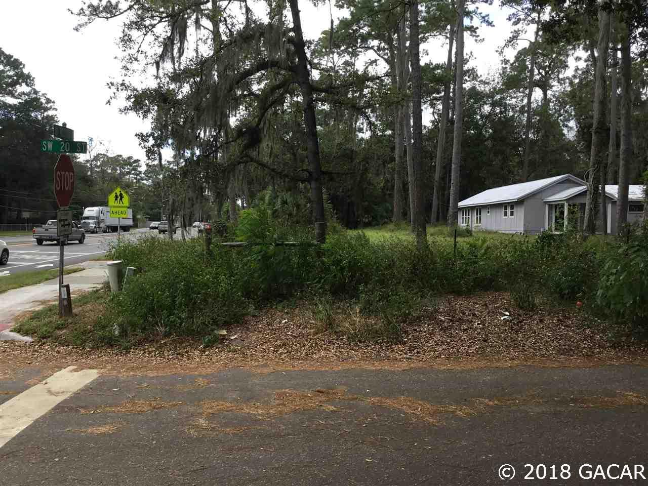 2010 Williston Road - Photo 1