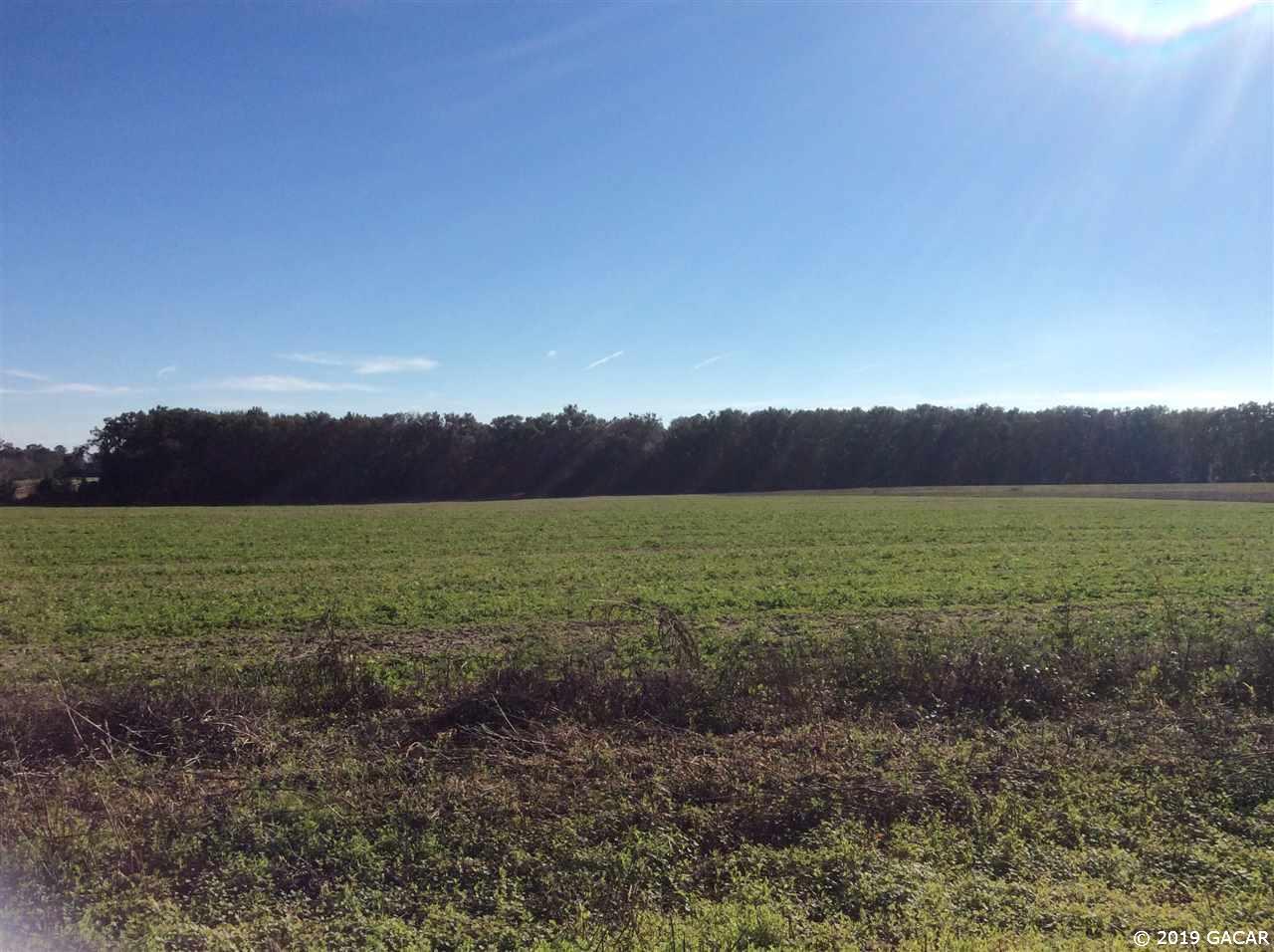 0000 138 Avenue - Photo 1