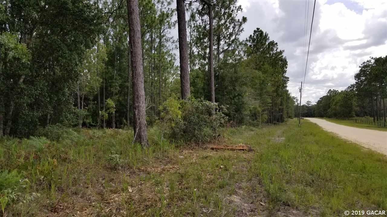 00 Jack Oak Drive - Photo 1