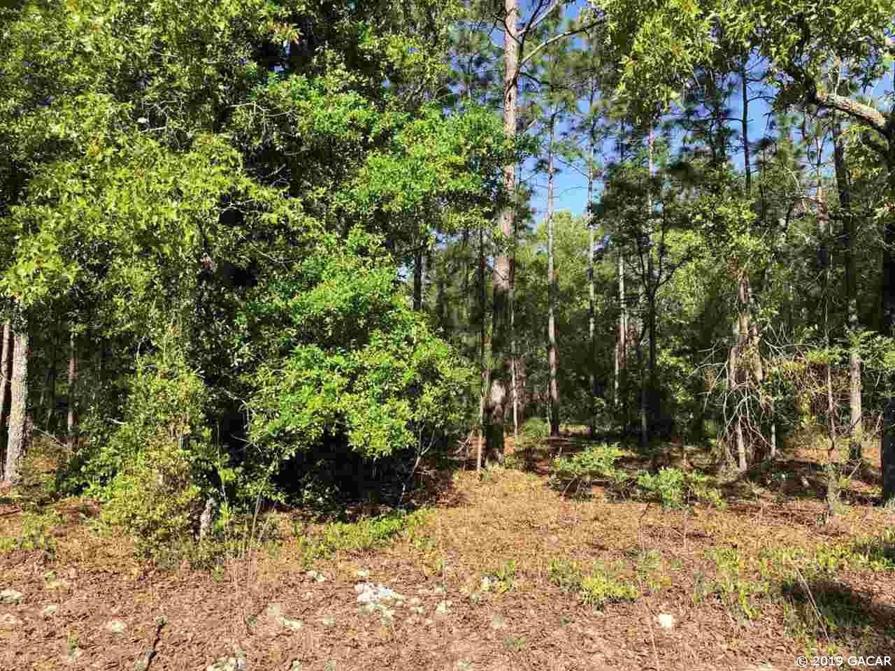 7112 Smith Drive - Photo 1