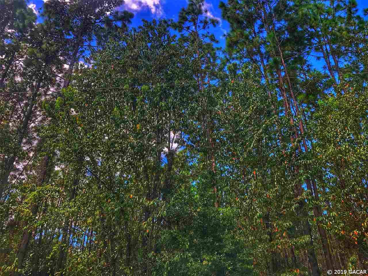 TBD Lot 24 53rd Drive - Photo 1