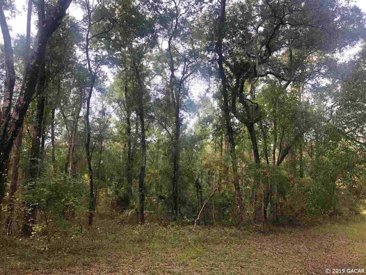 111th Avenue - Photo 1