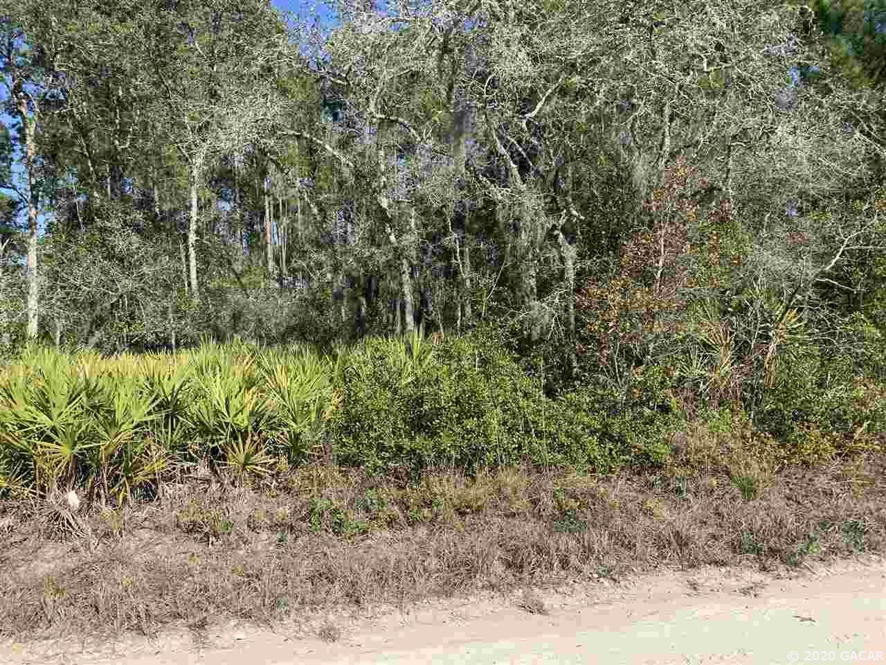 XXX 85th Loop - Photo 1