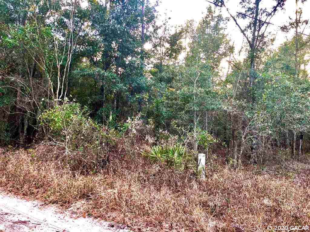 Lot 10 83rd Terrace - Photo 1