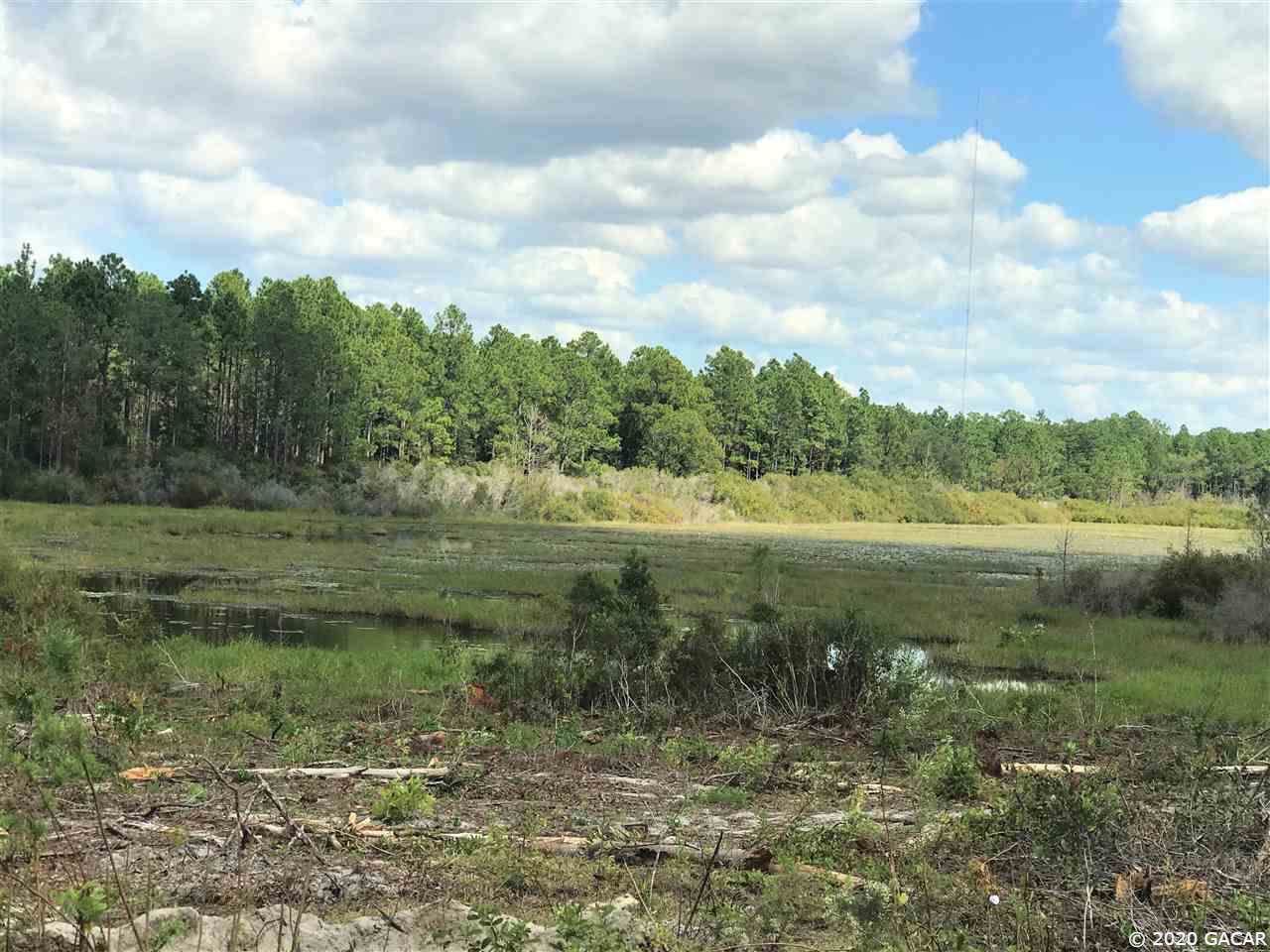 TBD County Road 337 - Photo 1