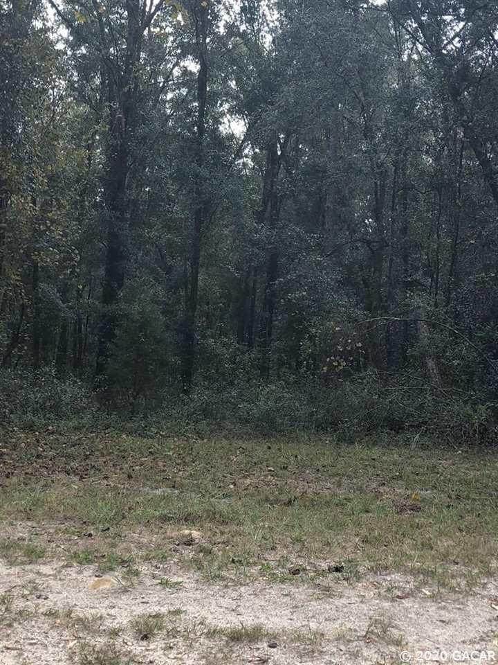 Lot 14 12th Pl & 12 Ter Terrace - Photo 1