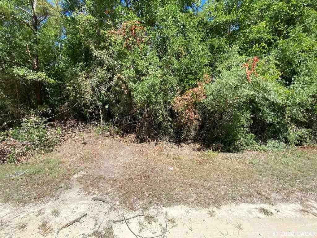 11414 225 Drive - Photo 1 11414 225 Drive - Photo 1