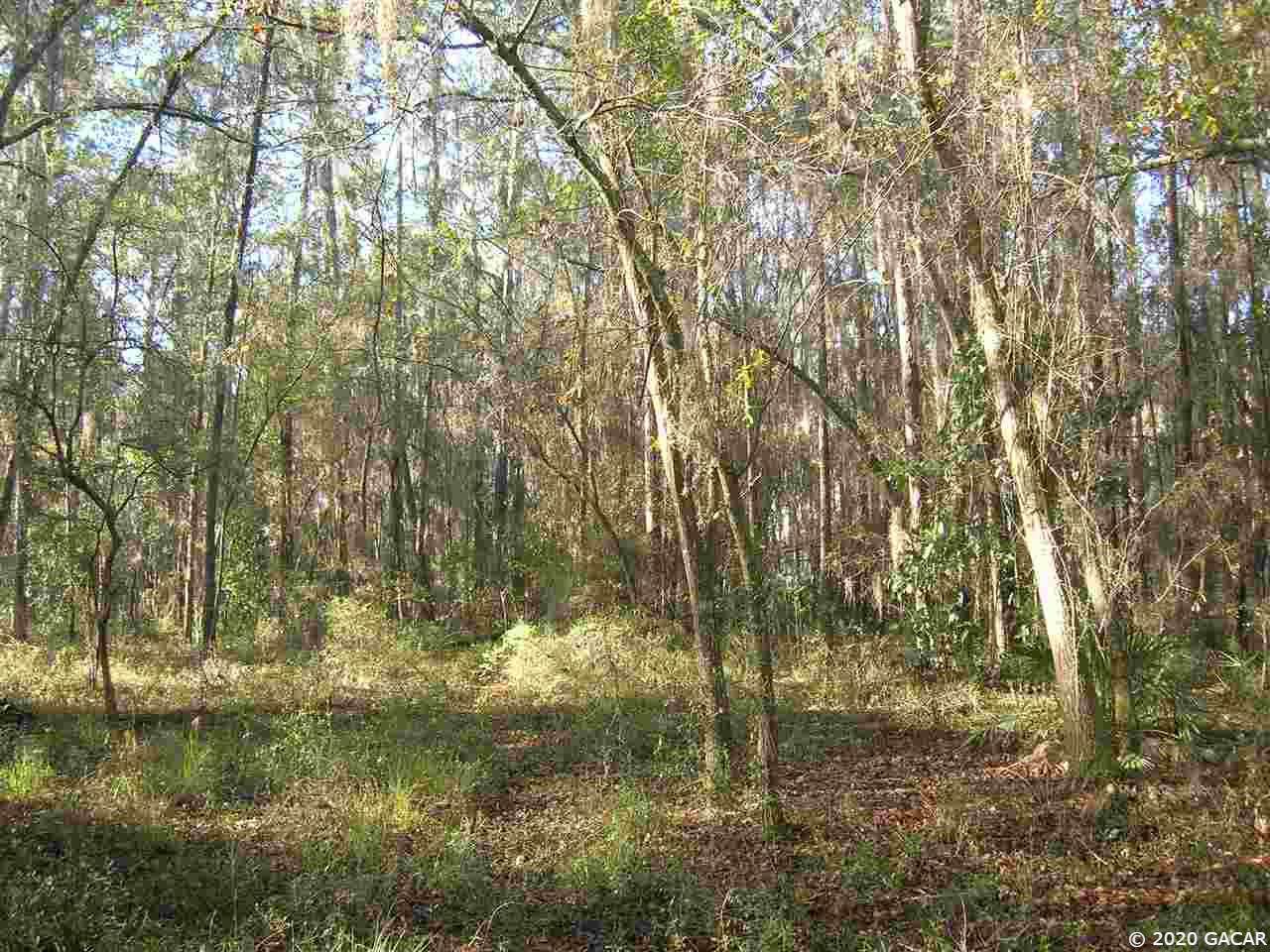 21819 115th Avenue - Photo 1