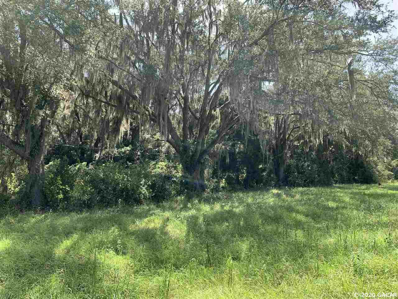 Pinemount Road - Photo 1
