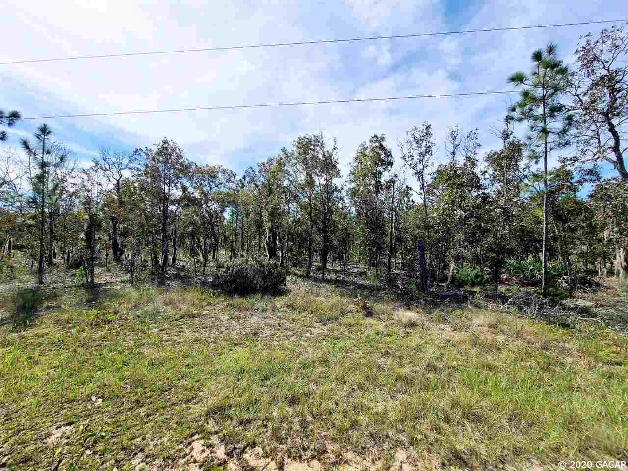 303 Poinciana Drive - Photo 1
