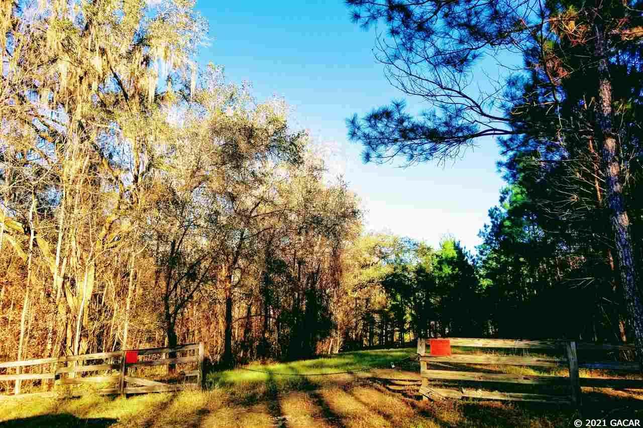 21643 County Road 241 - Photo 1