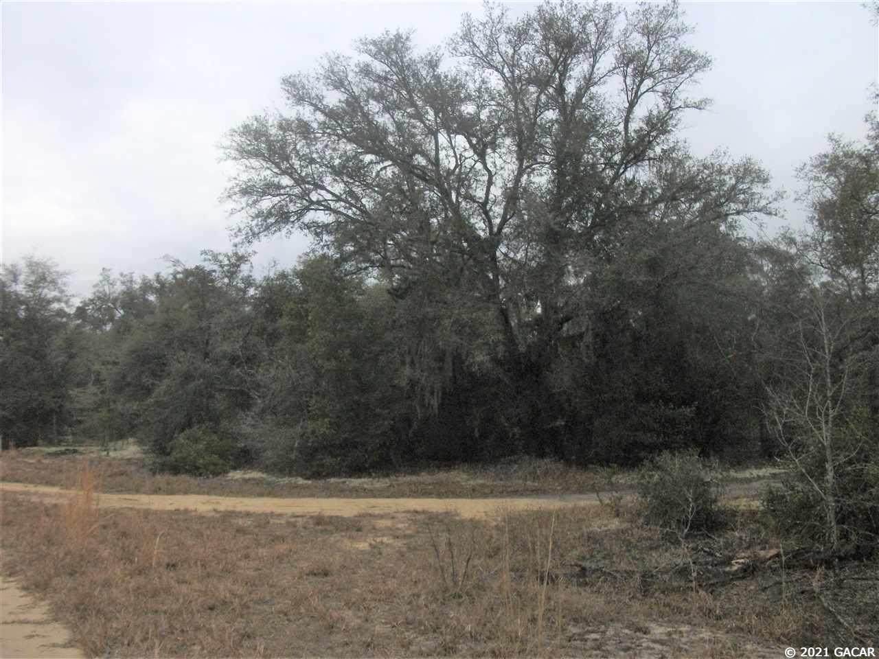 7441 Antietam Way - Photo 1