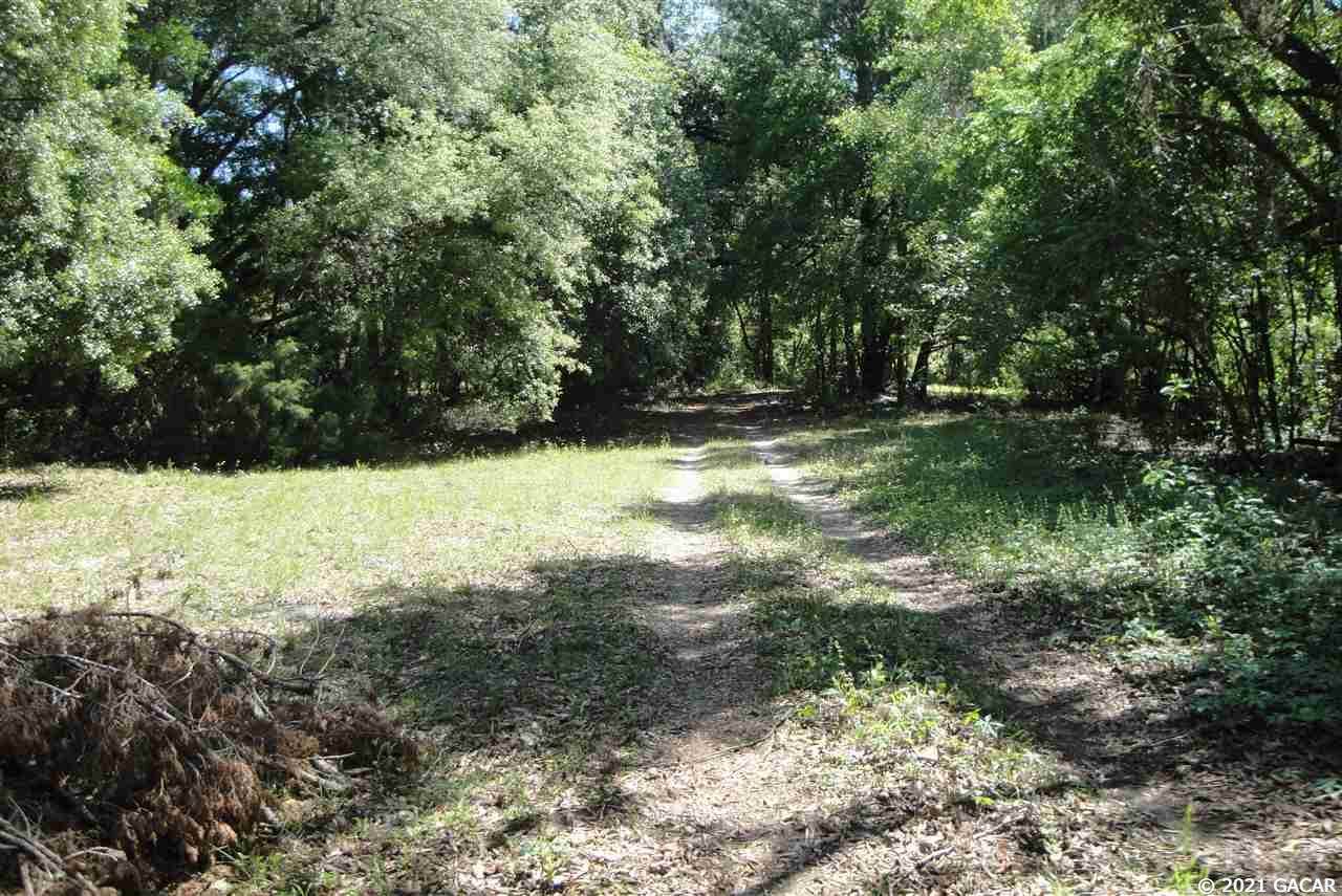 7335 75th Street - Photo 1