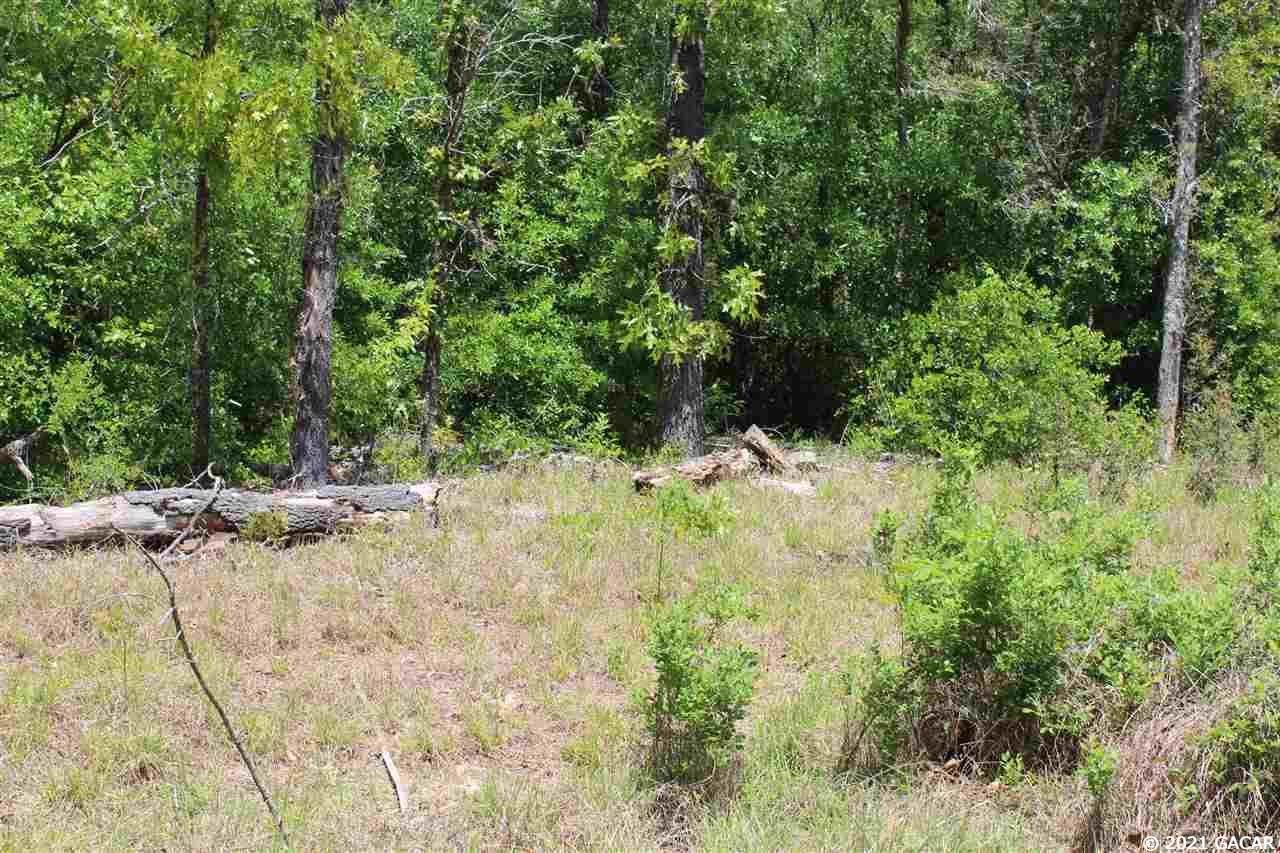 6384 Antioch Avenue - Photo 1