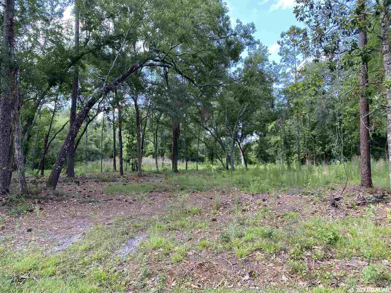 19515 114TH Avenue - Photo 1