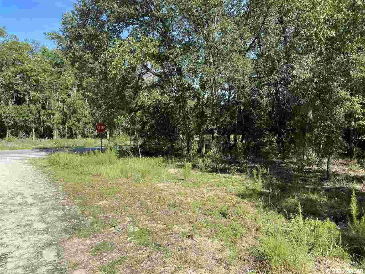 000 Azalea Avenue - Photo 1