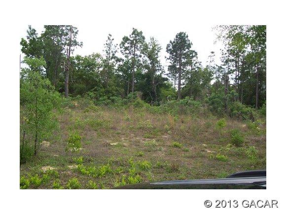 5745 Silver Sands Circle - Photo 1