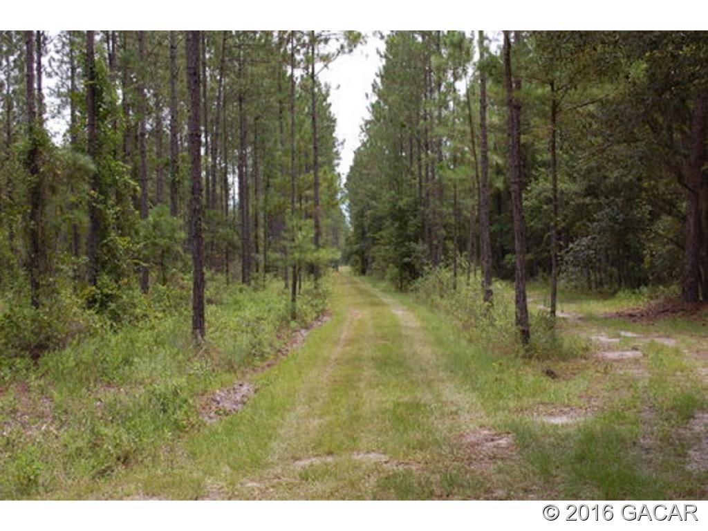 4221 Cr 219A - Photo 1