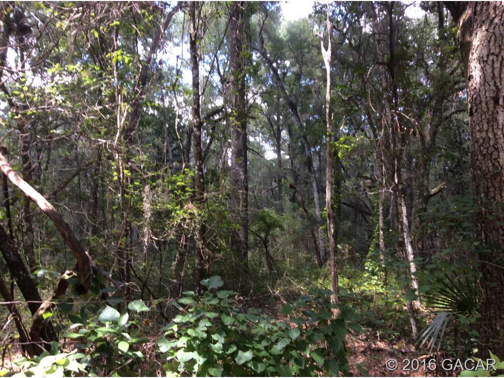 0000 83 Lane - Photo 1