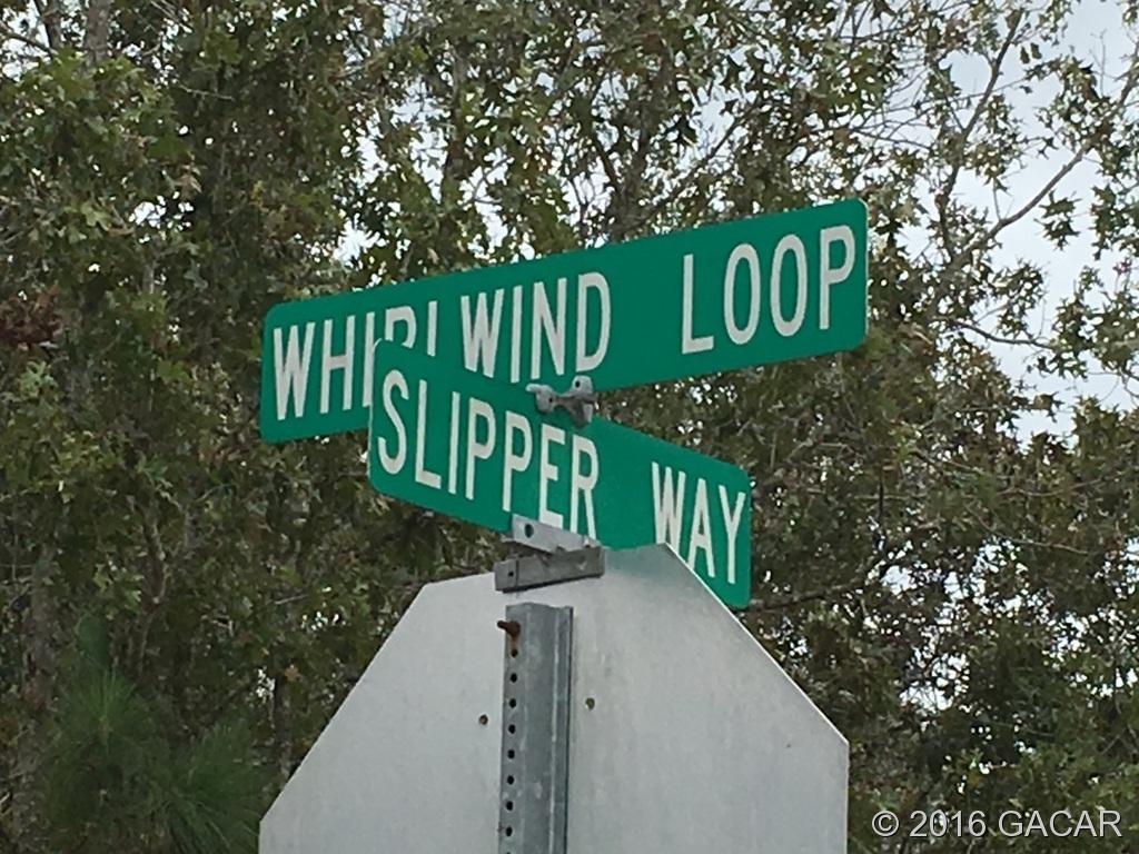 0000 Whirlwind Loop - Photo 1