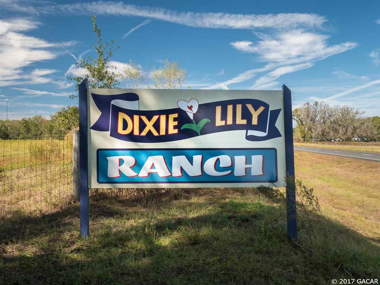 16756 Us Highway 27 - Photo 1