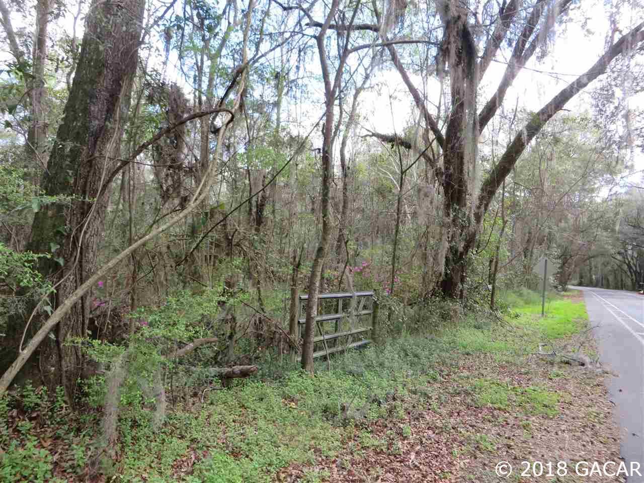 6600 Millhopper Road - Photo 1