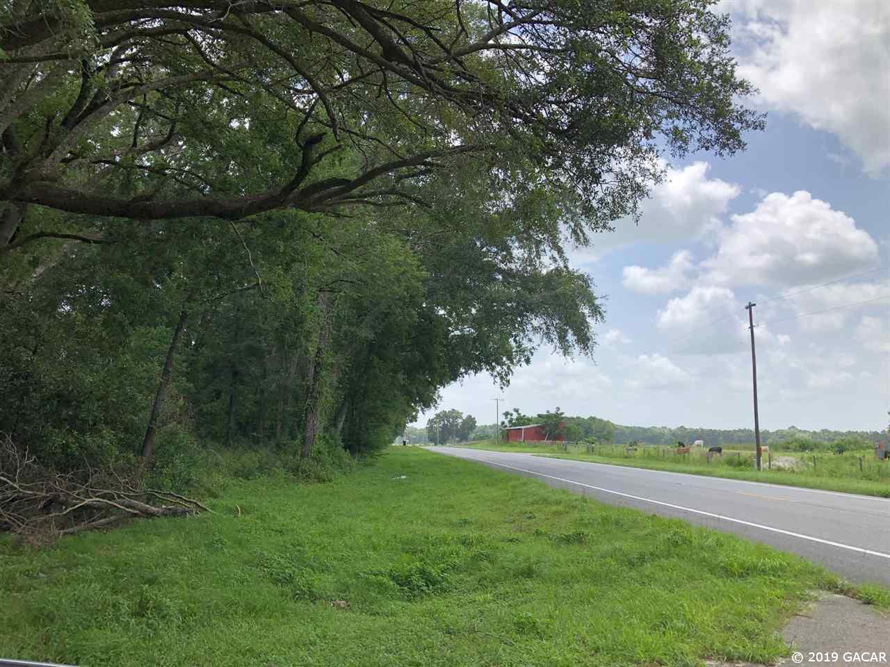 TBD/ Lot 10 State Road 45 - Photo 1