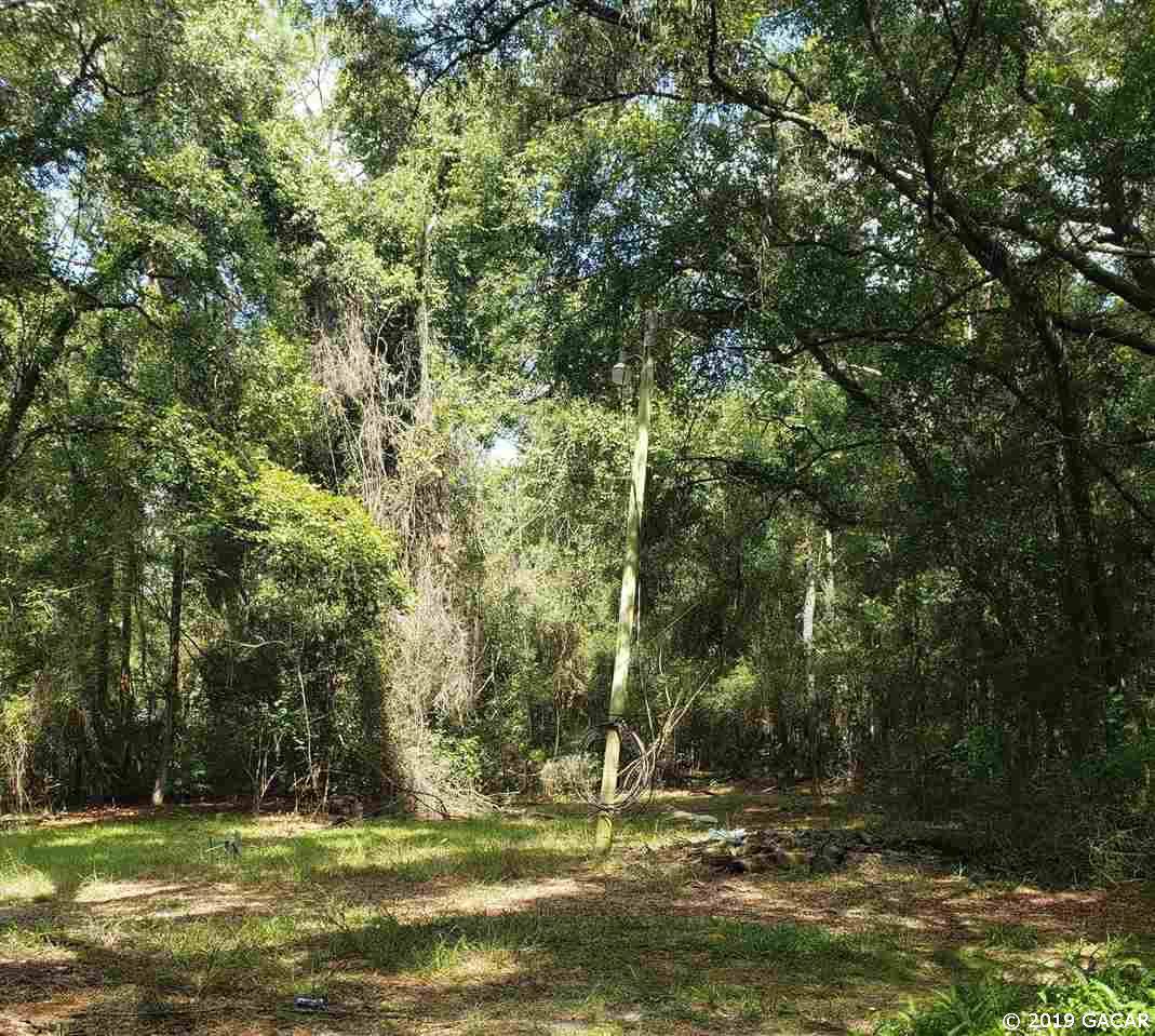 25119 210th Lane - Photo 1