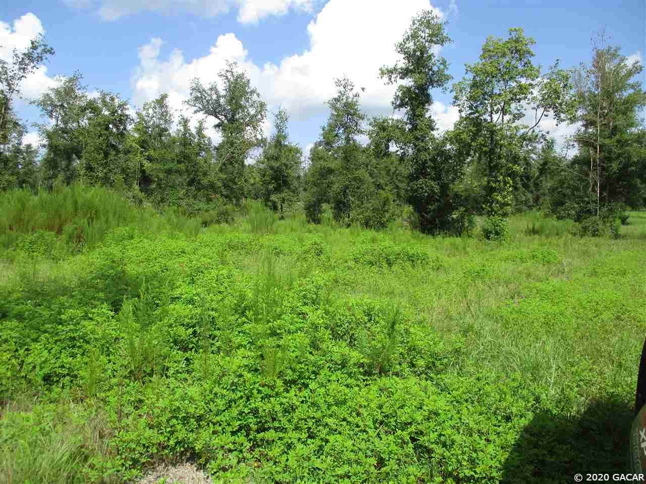 Parcel 3 County Road 2054 - Photo 1