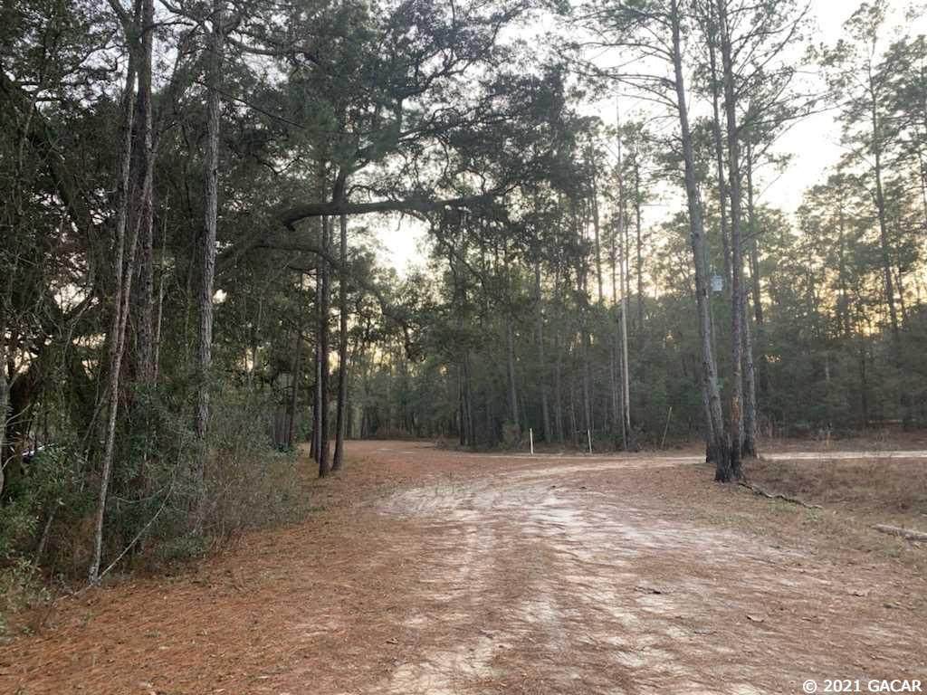 TBD Pine Cone Court - Photo 1